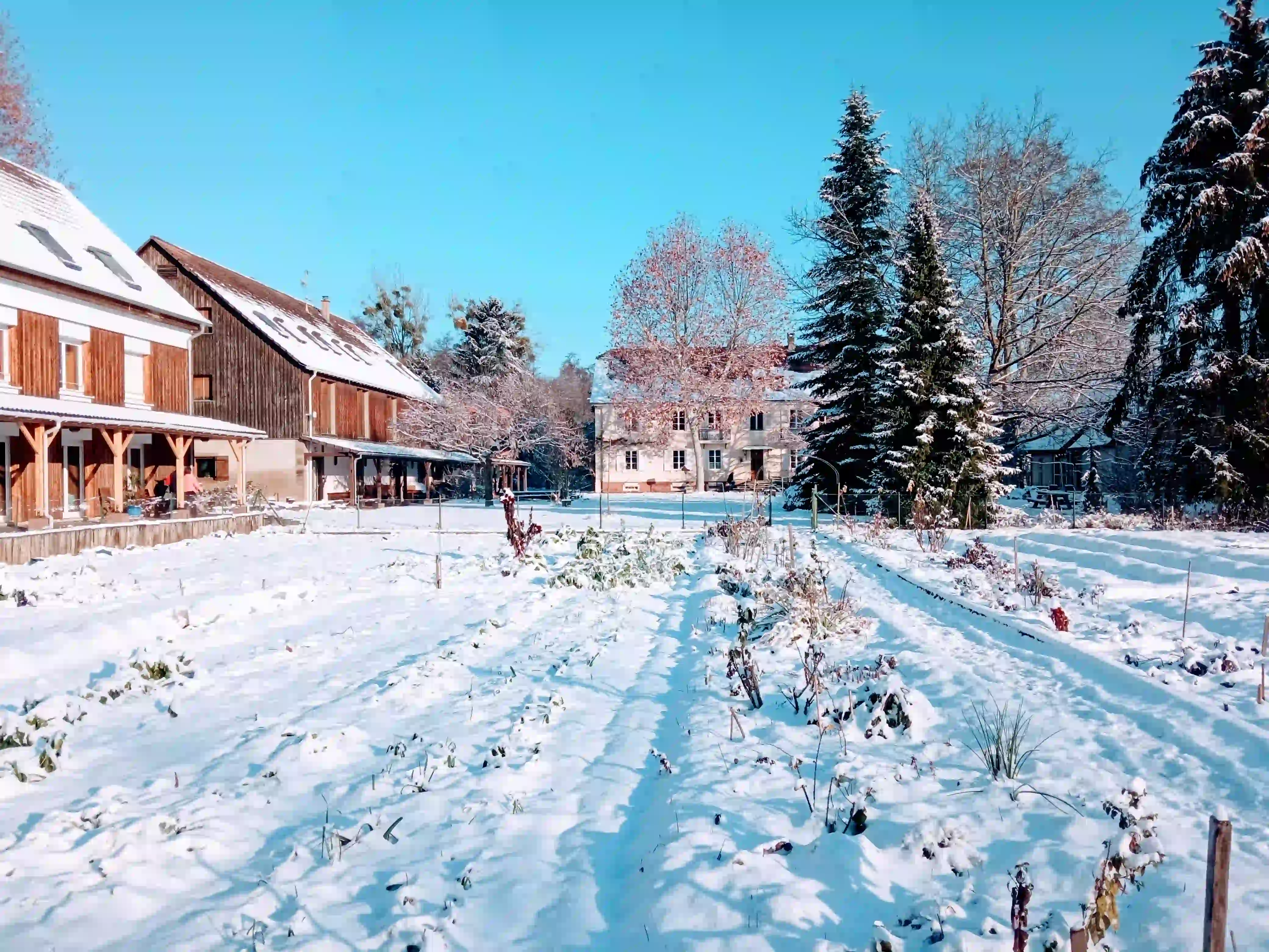 __wf_reserved_inherit