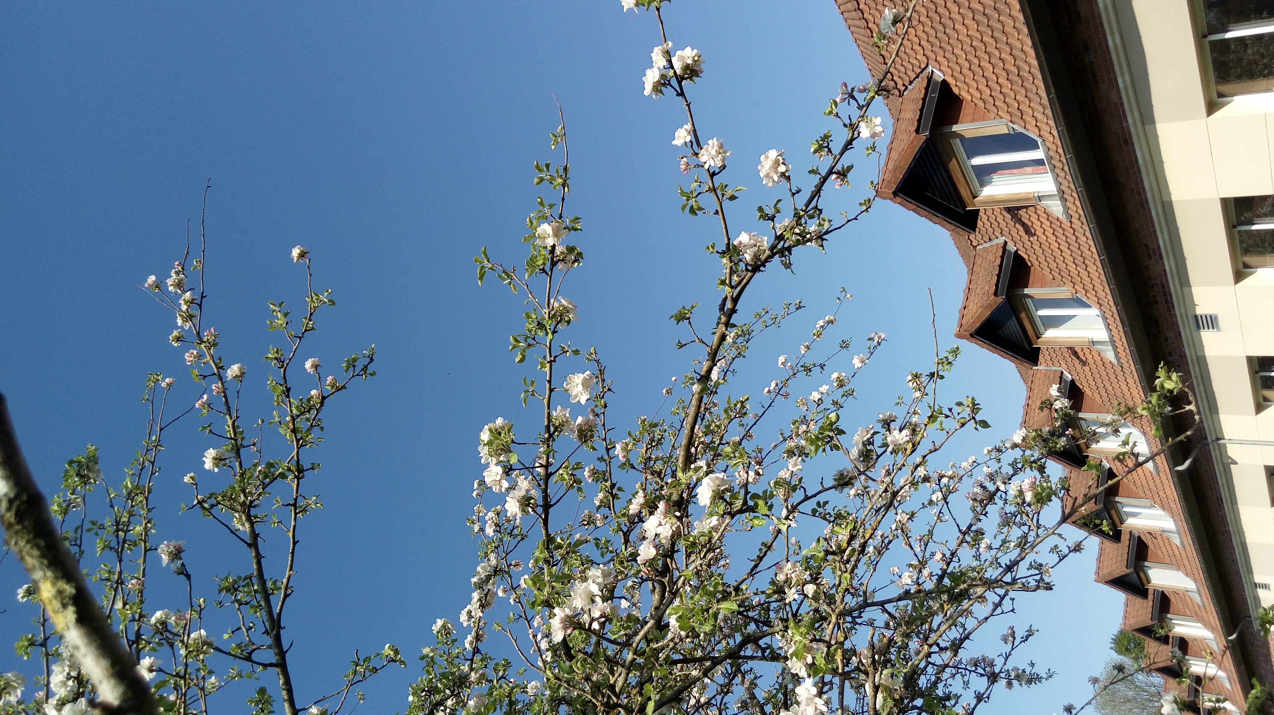 __wf_reserved_inherit