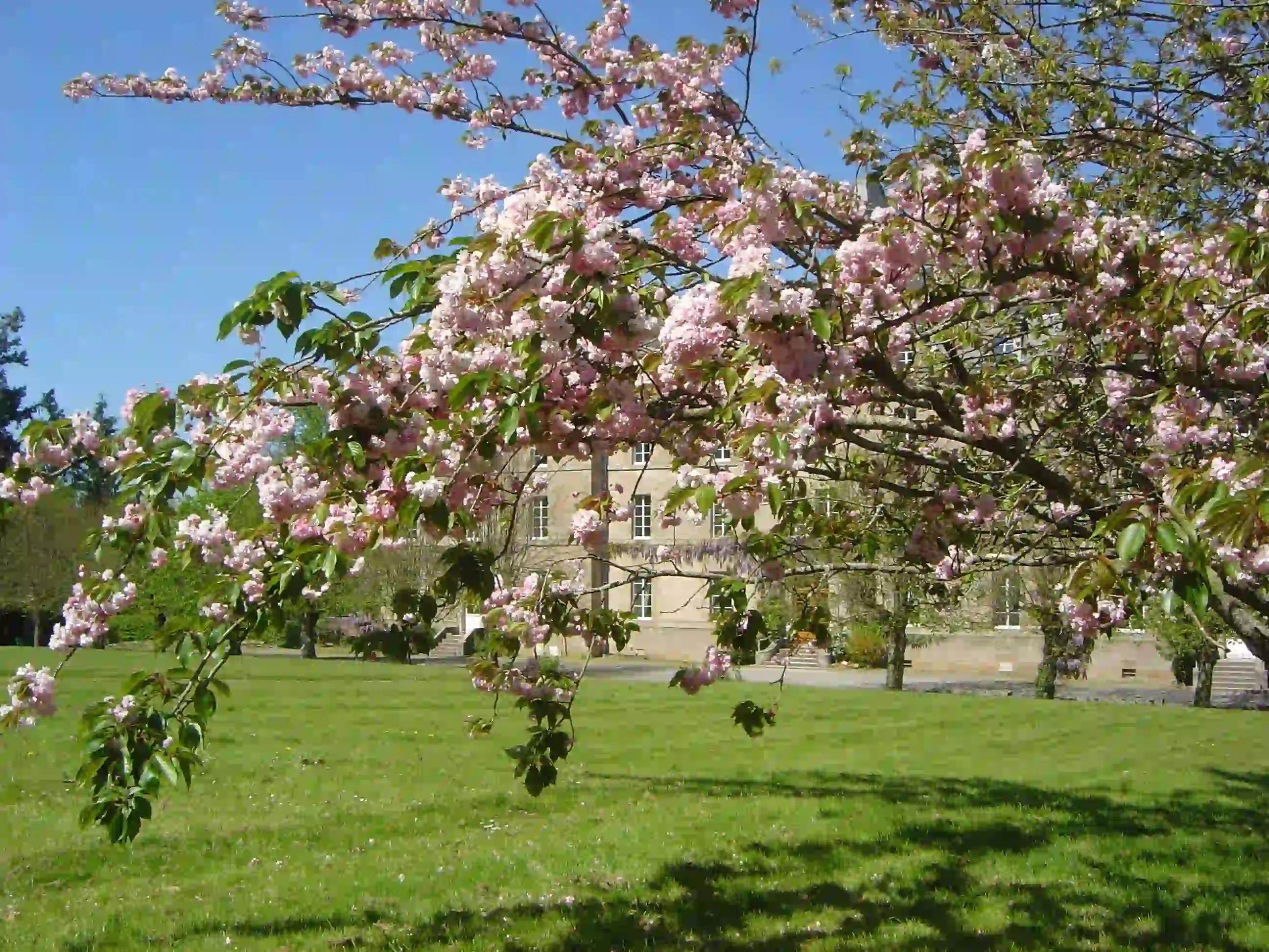 __wf_reserved_inherit