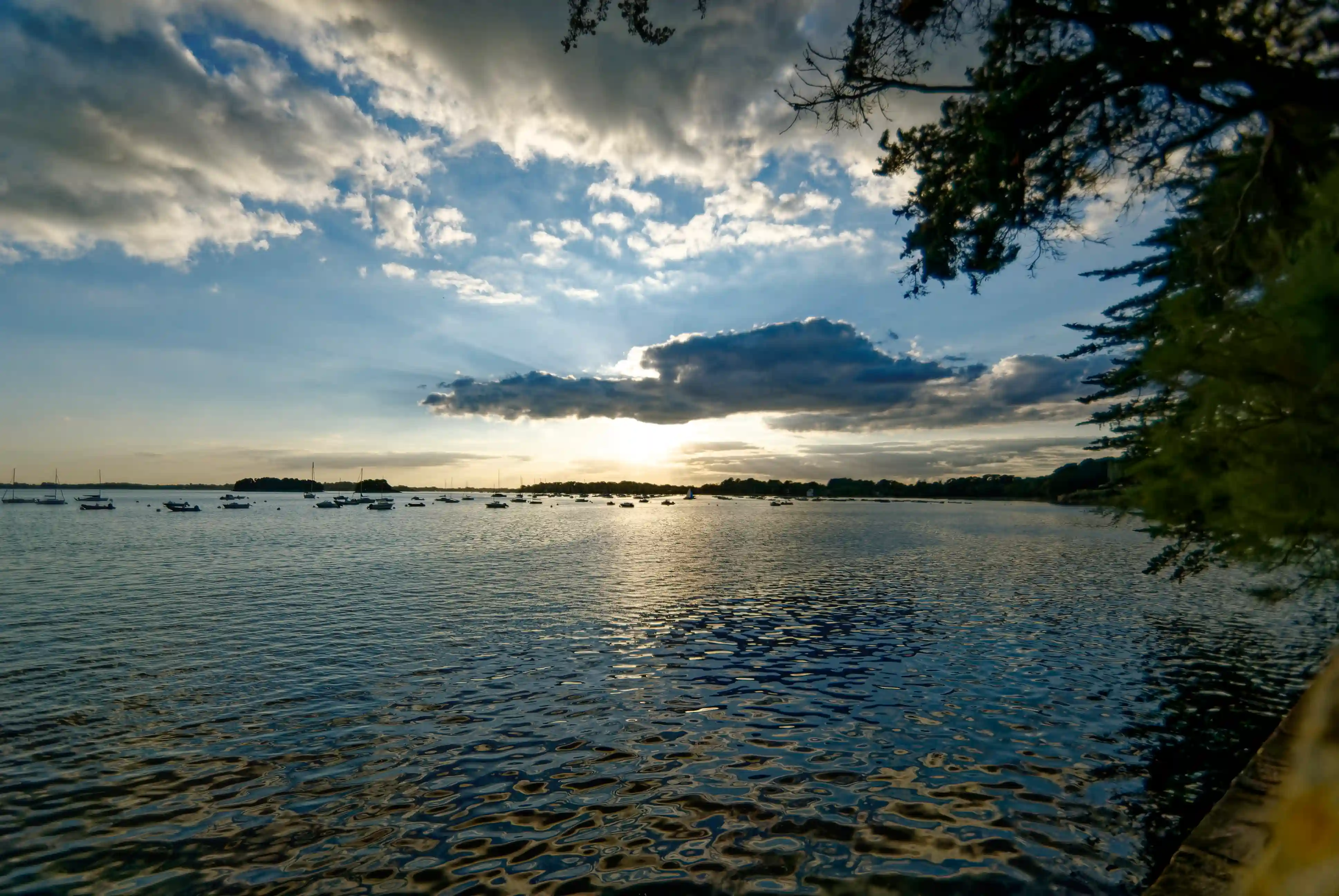 __wf_reserved_inherit