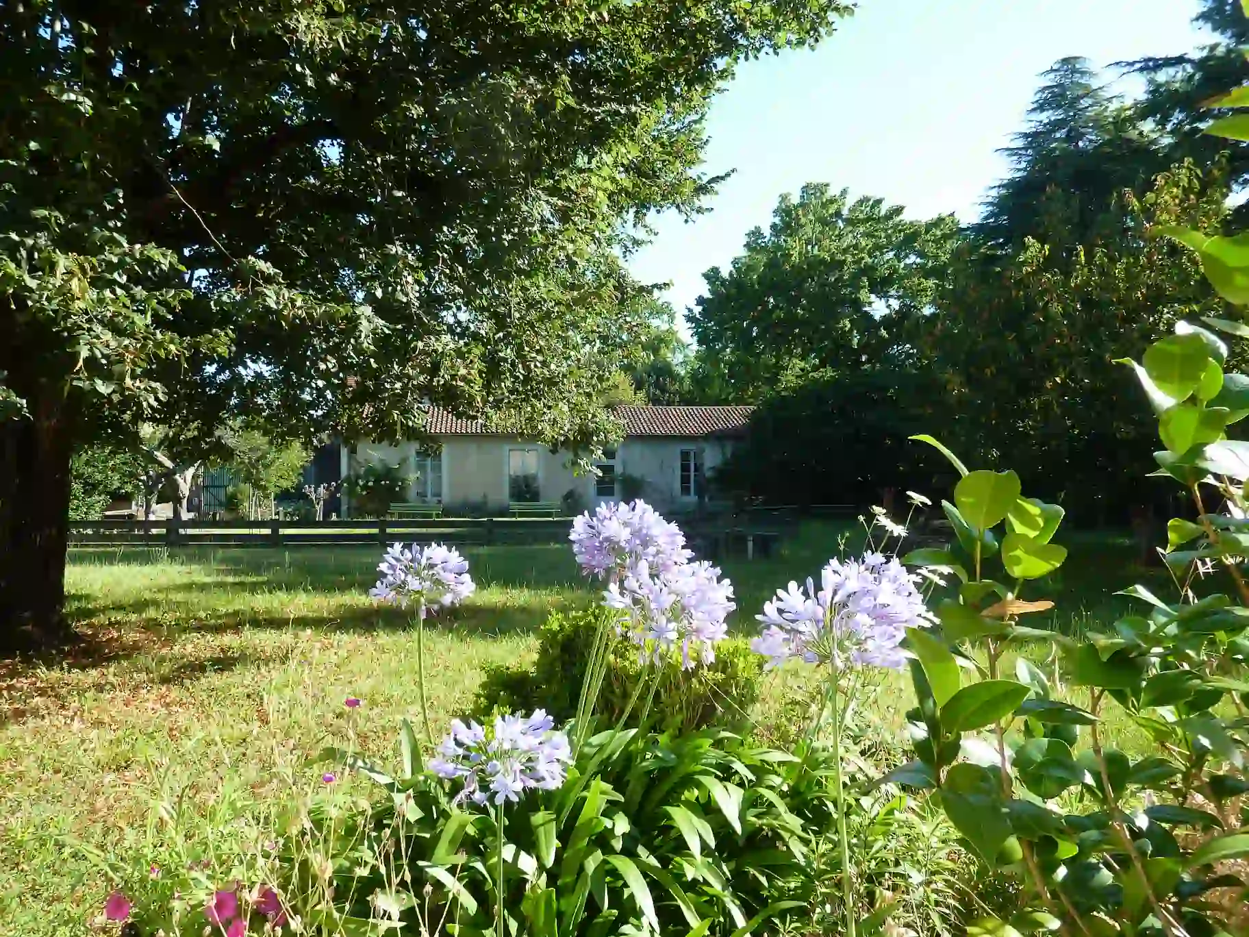 O perdão, essa escolha louca que muda tudo