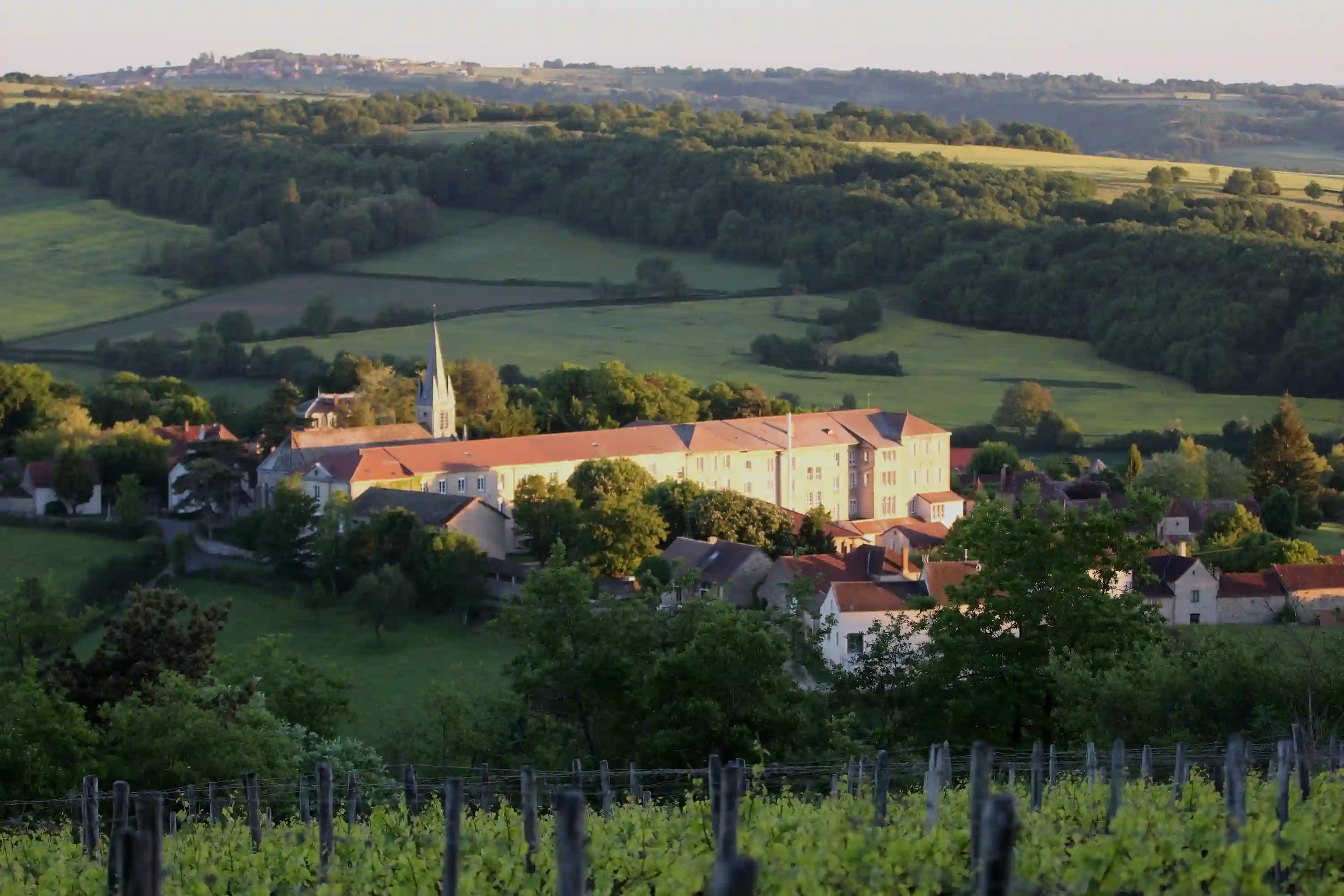 __wf_reserved_inherit