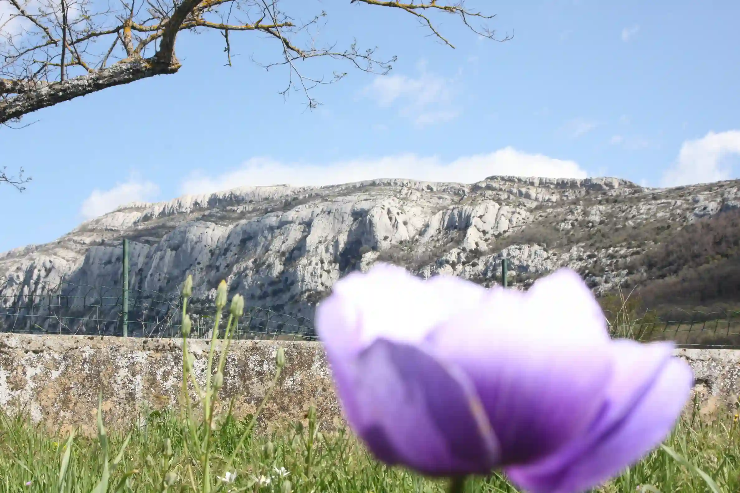 Retiro de inicio de Cuaresma
