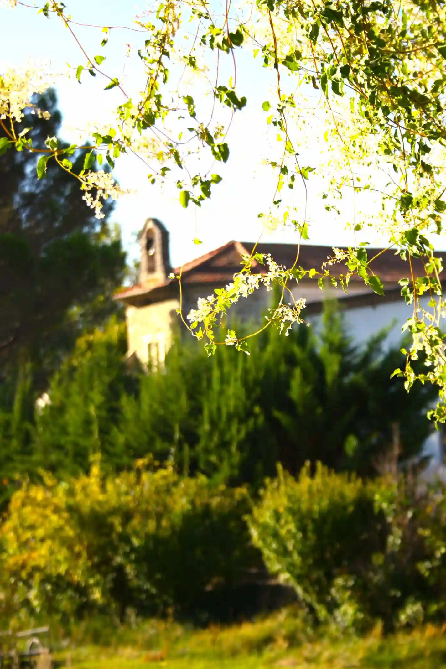 __wf_reserved_inherit