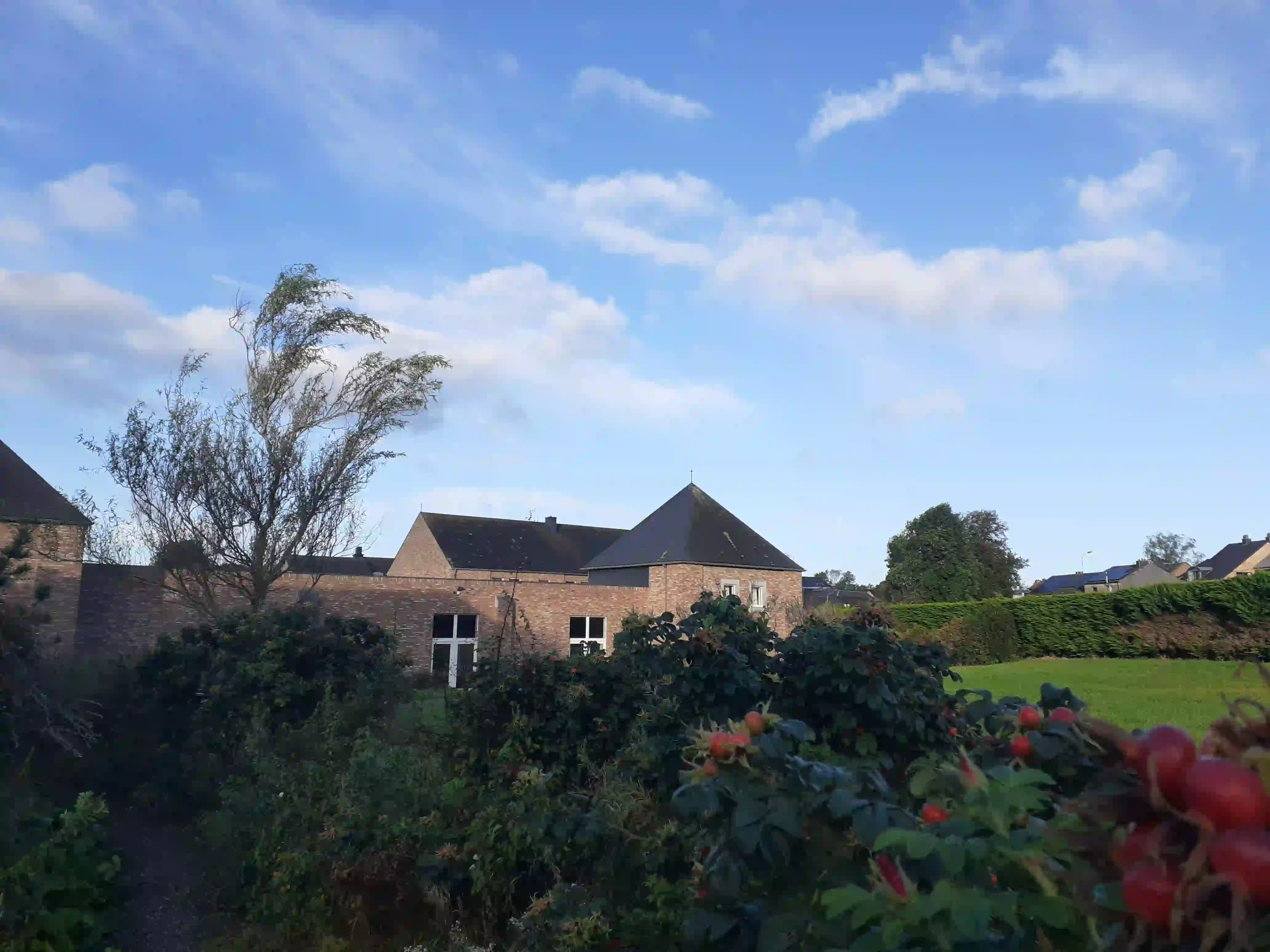 __wf_reserved_inherit