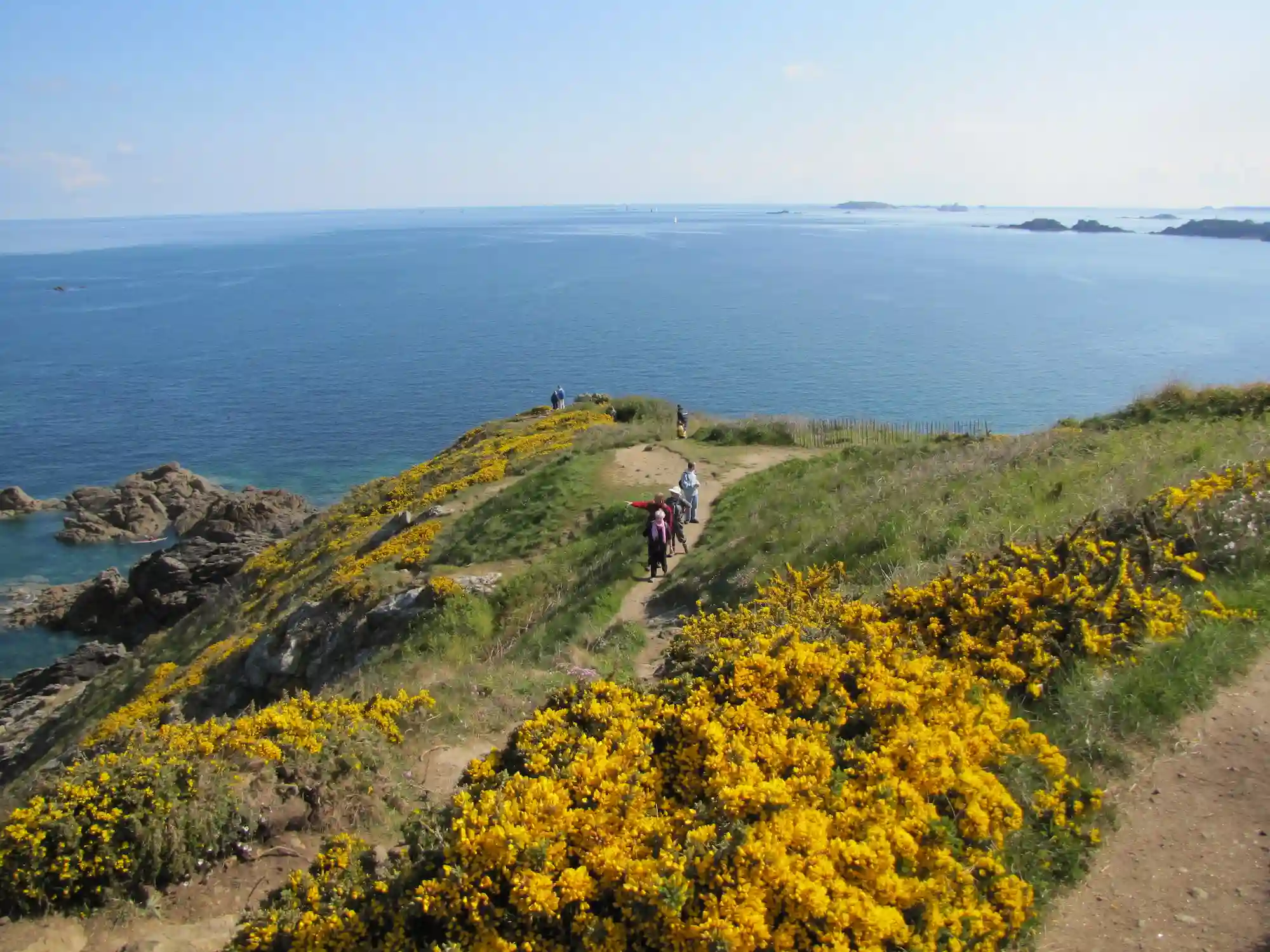 __wf_reserved_inherit