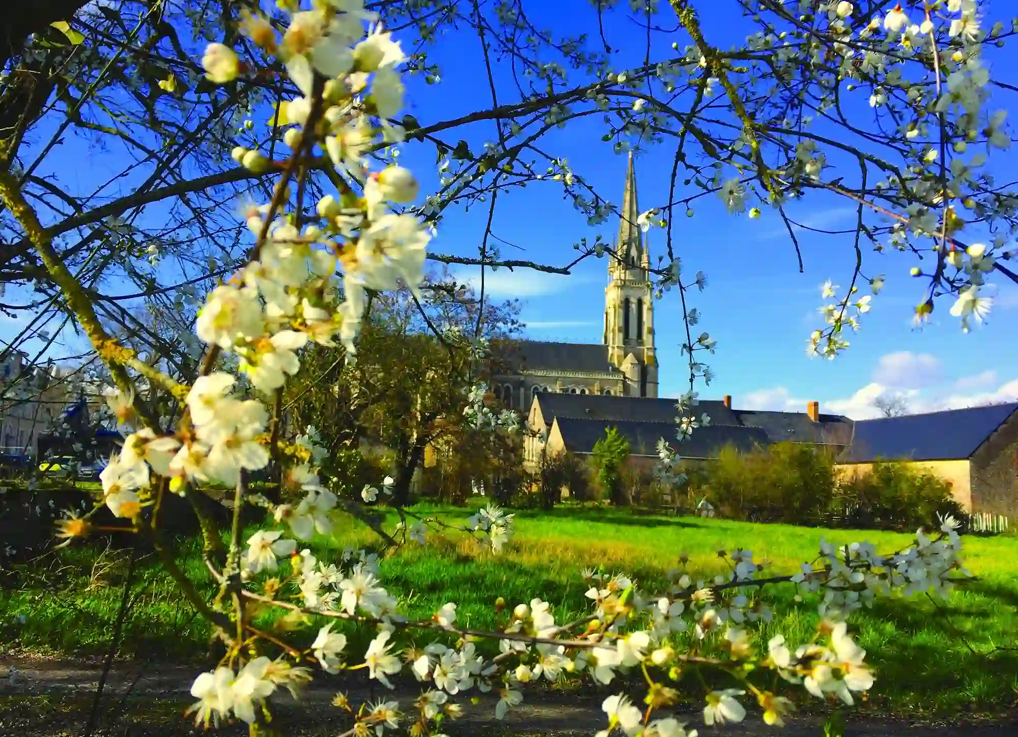Week-end de la Miséricorde
