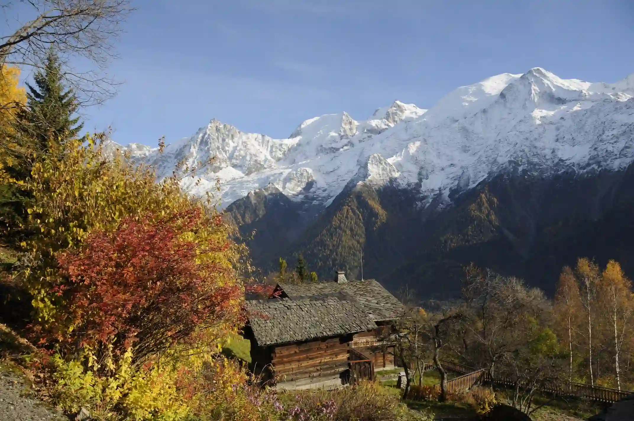 Les femmes dans la Bible, un autre regard sur Dieu ?