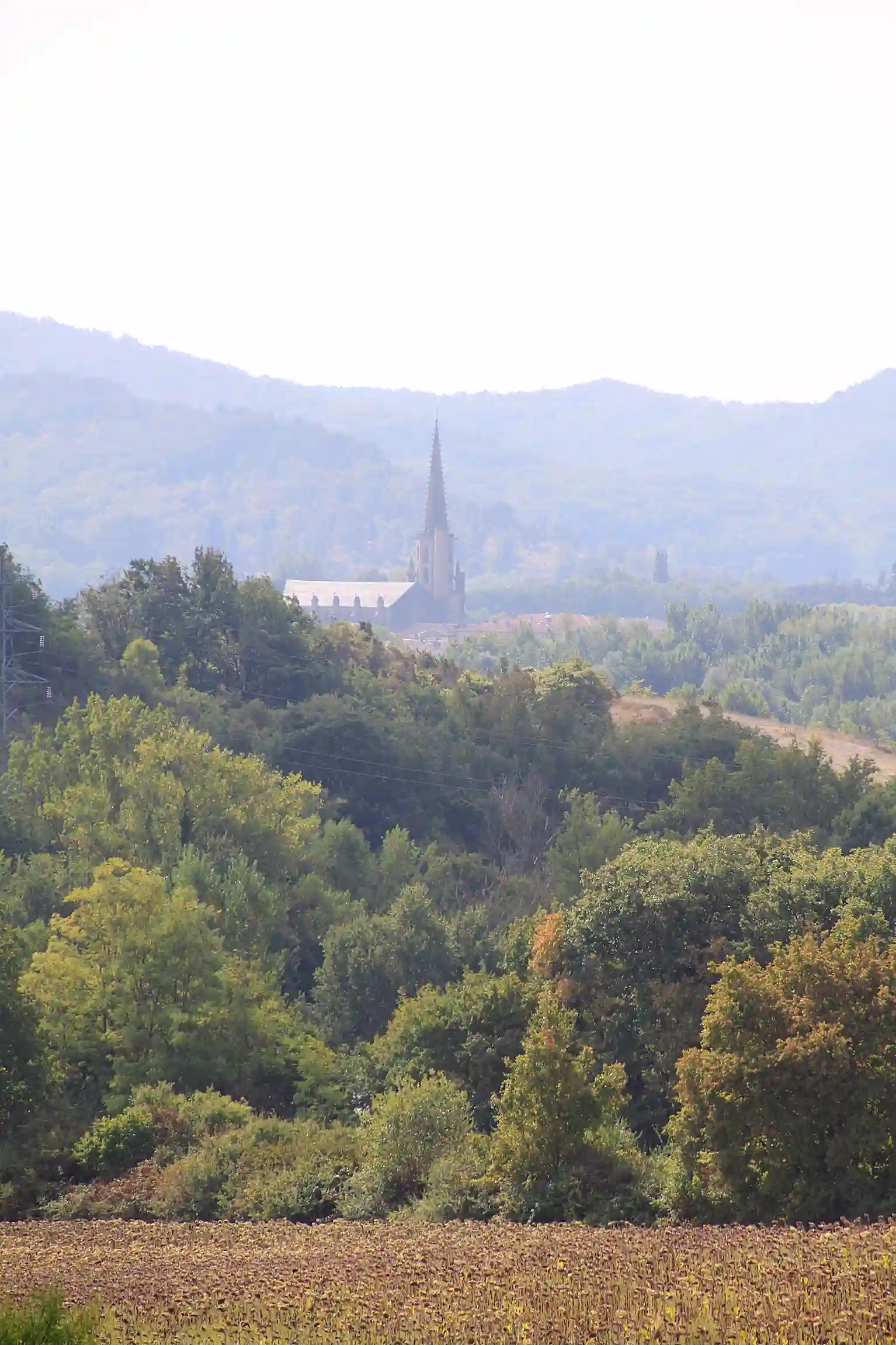Camp Chantier de Juin : "Venez nous aider à prendre soin de St-Pierre"