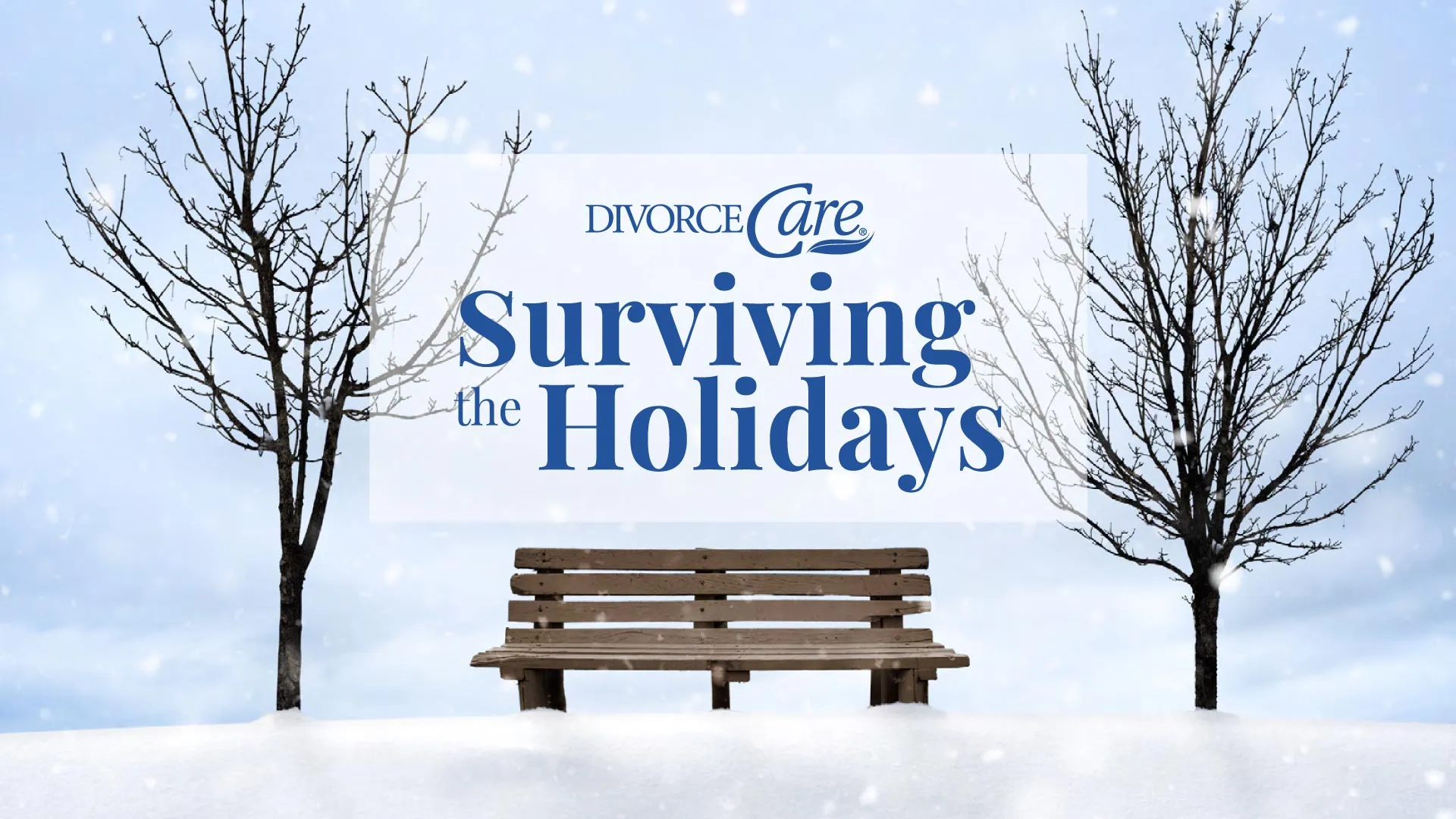 Surviving the Holidays