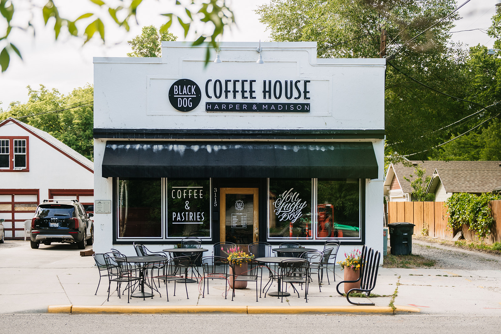 Black Dog on 10th Ave