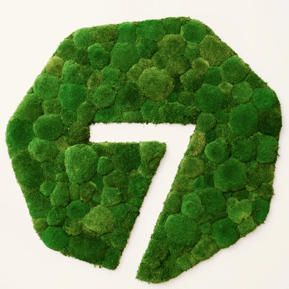 7Mind logo