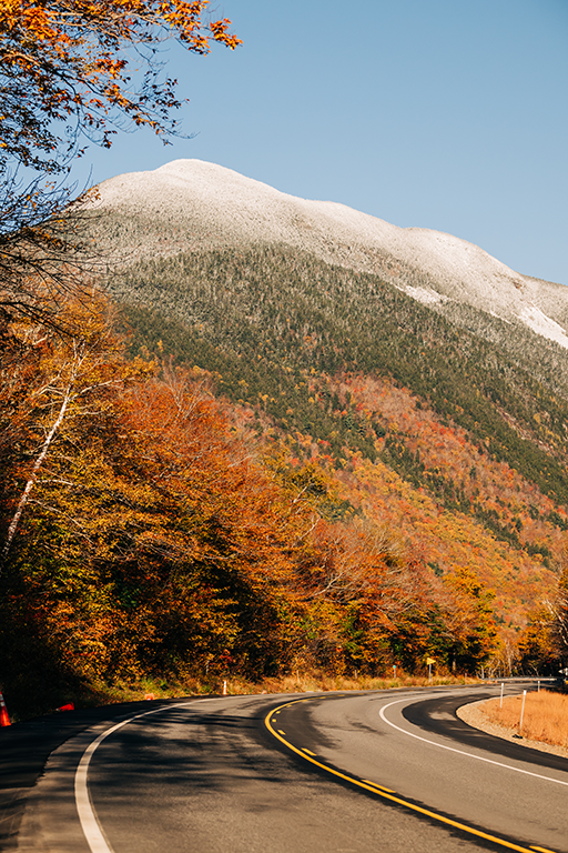Foliage drives popular with travelers and visitors