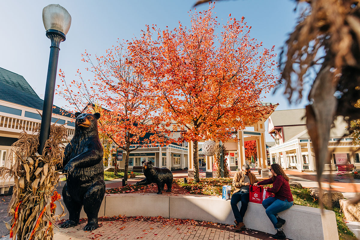 Settlers Green is a tax-free shopping destination with over 70 brand name stores.