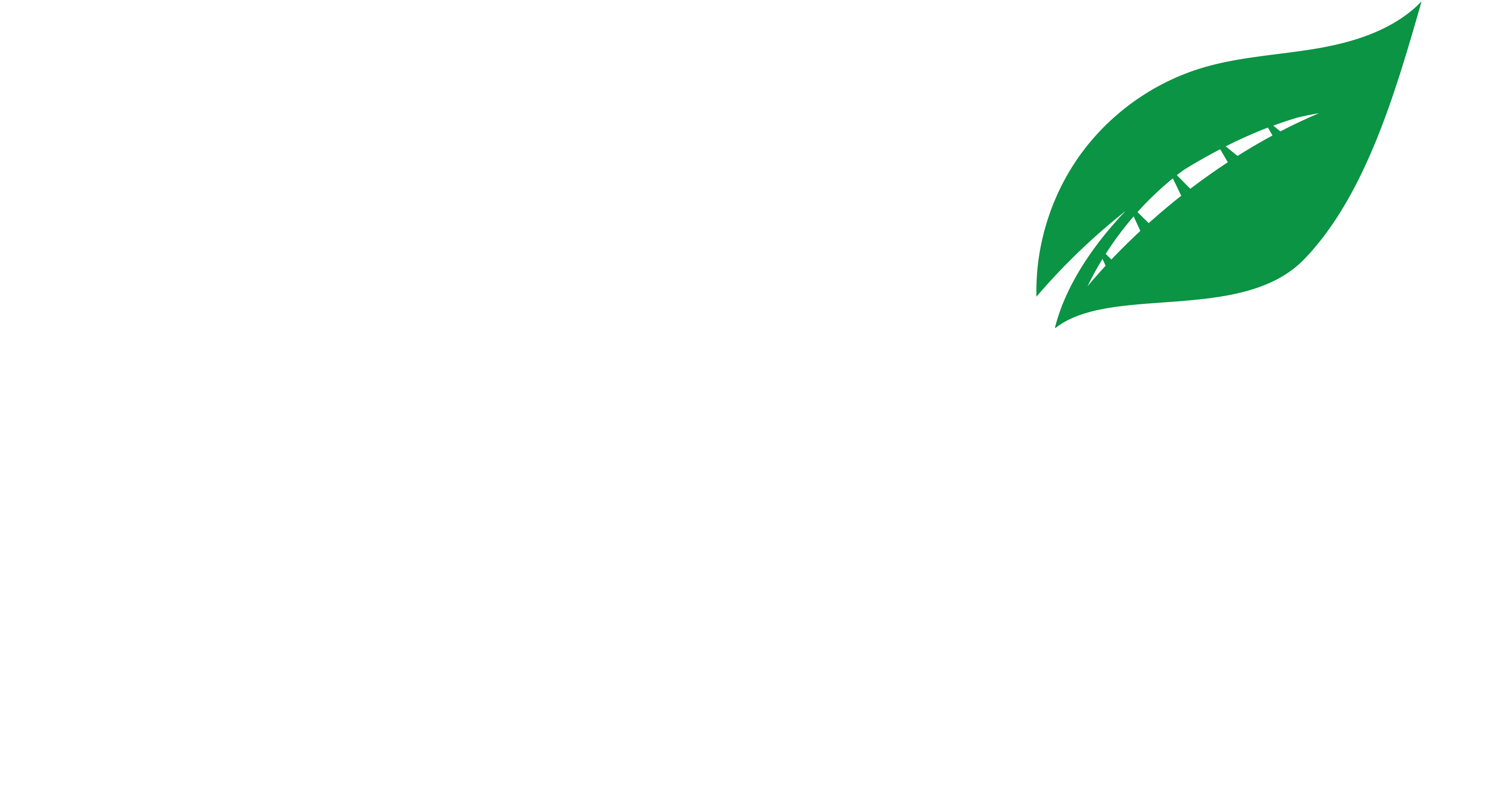 Drive To Zero Logo
