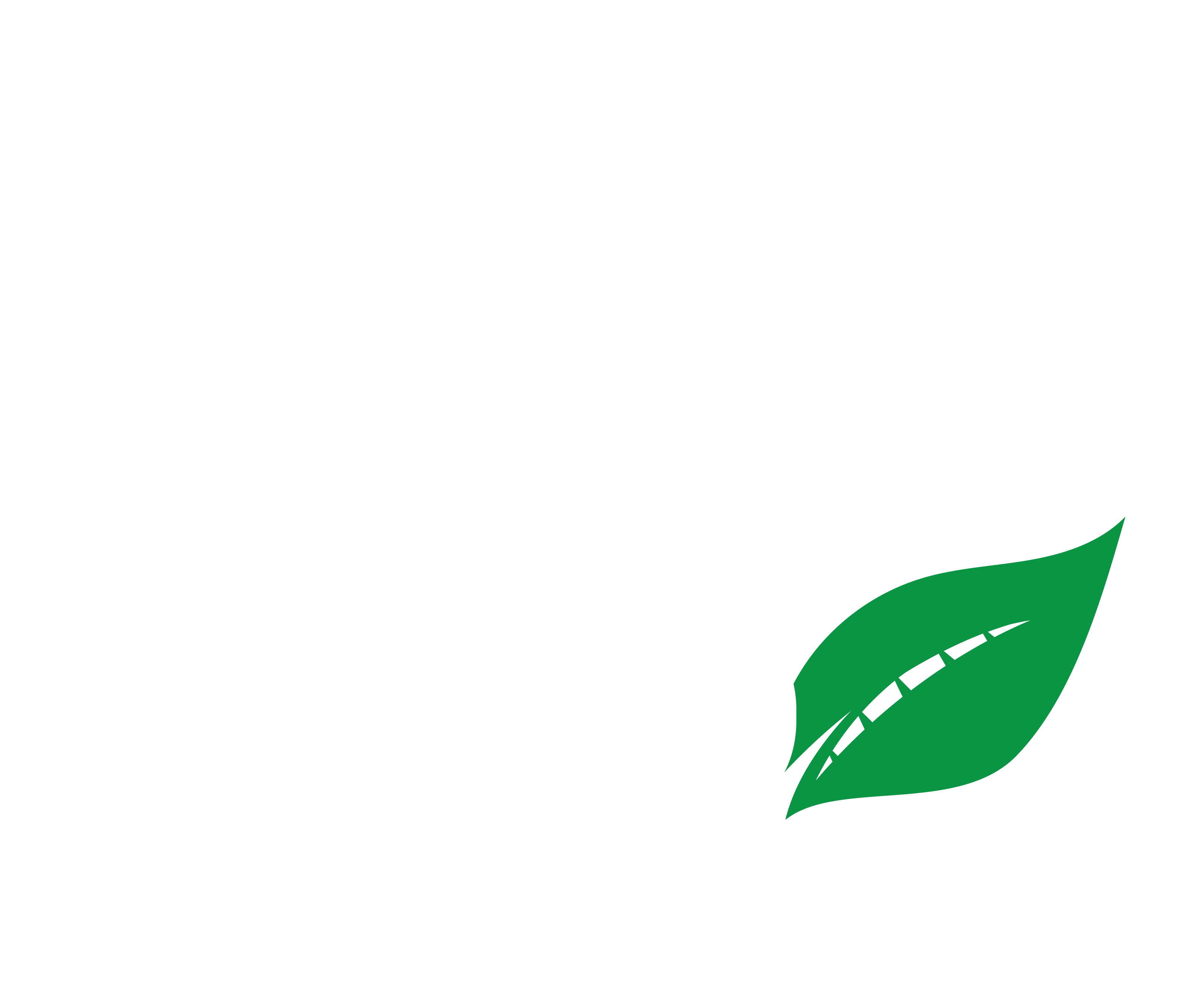 A new way of navigating Lumen Field