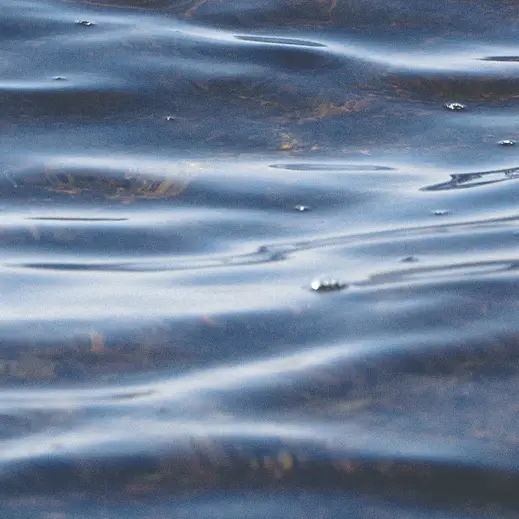 Ruhige Wasseroberfläche in blauem Licht – Seebestattung als alternative Bestattungsform in Berlin
