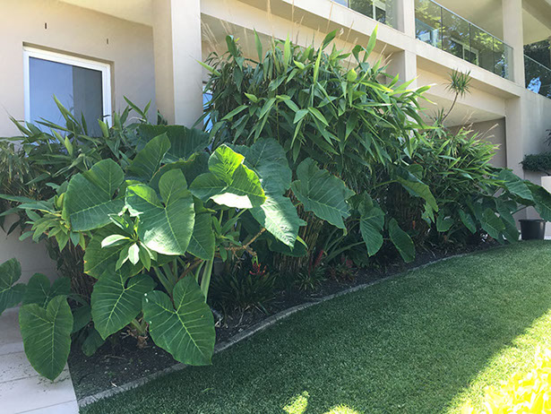 Guide for Vertical Gardening | How to Build a Vertical Wall Garden