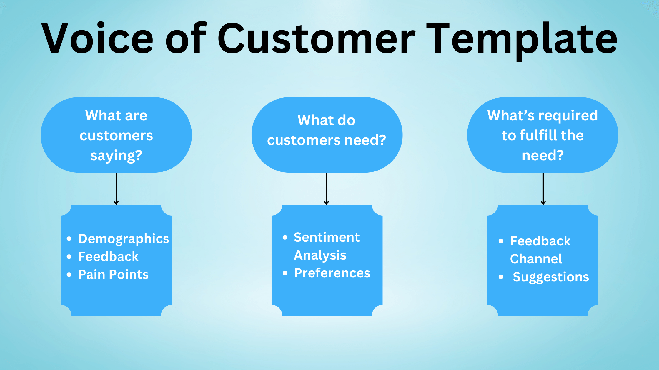 Sections of Voice of Customer to analyze better