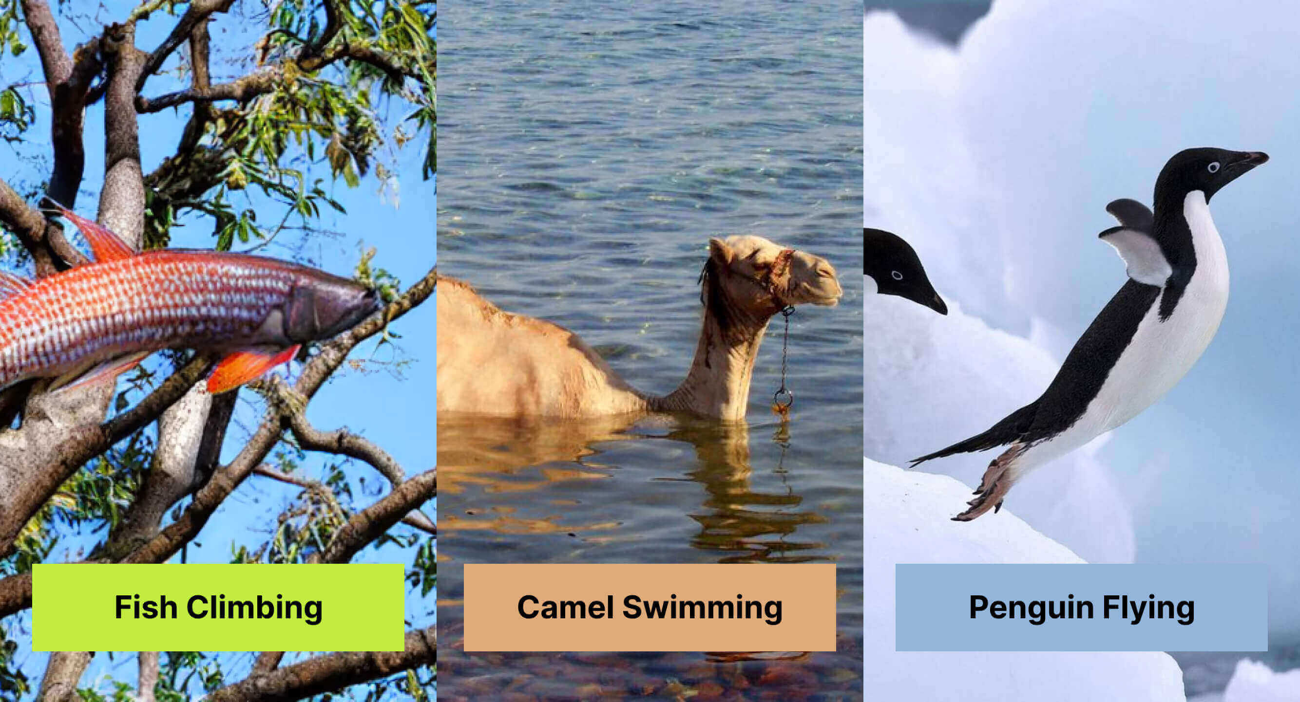 Agents should be assigned coaching sessions tailored for them to see an improvement in performance