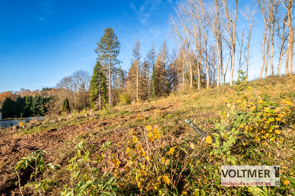 Grundstücksansicht_2