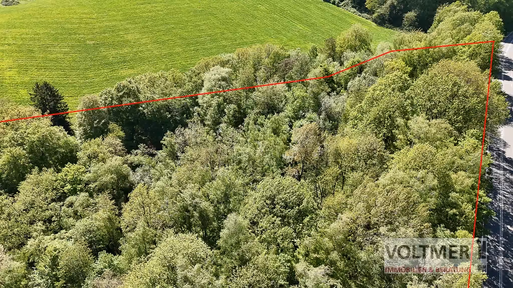 PROJEKTGRUNDSTÜCK 2 - großzügiges Baugrundstück in Ortsrandlage von Ottweiler!