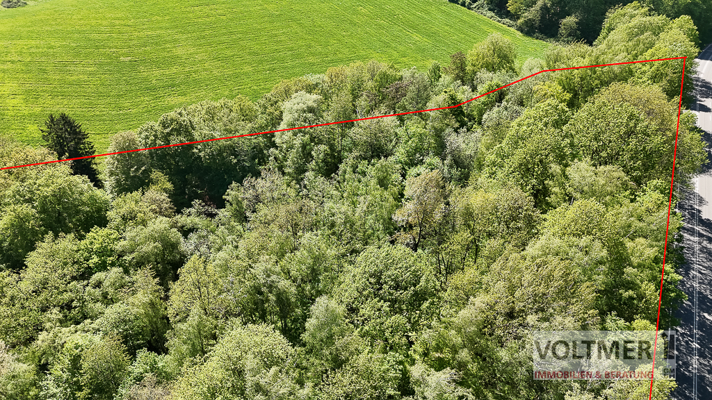 PROJEKTGRUNDSTÜCK 2 - großzügiges Baugrundstück in Ortsrandlage von Ottweiler!