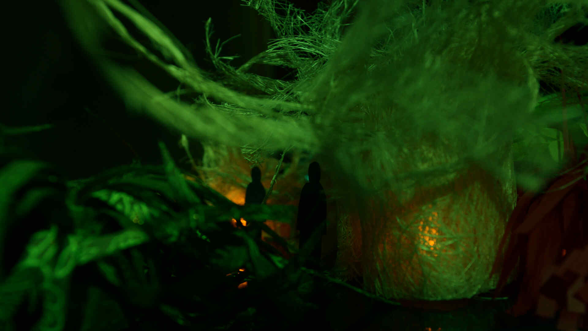 The Coral Experience