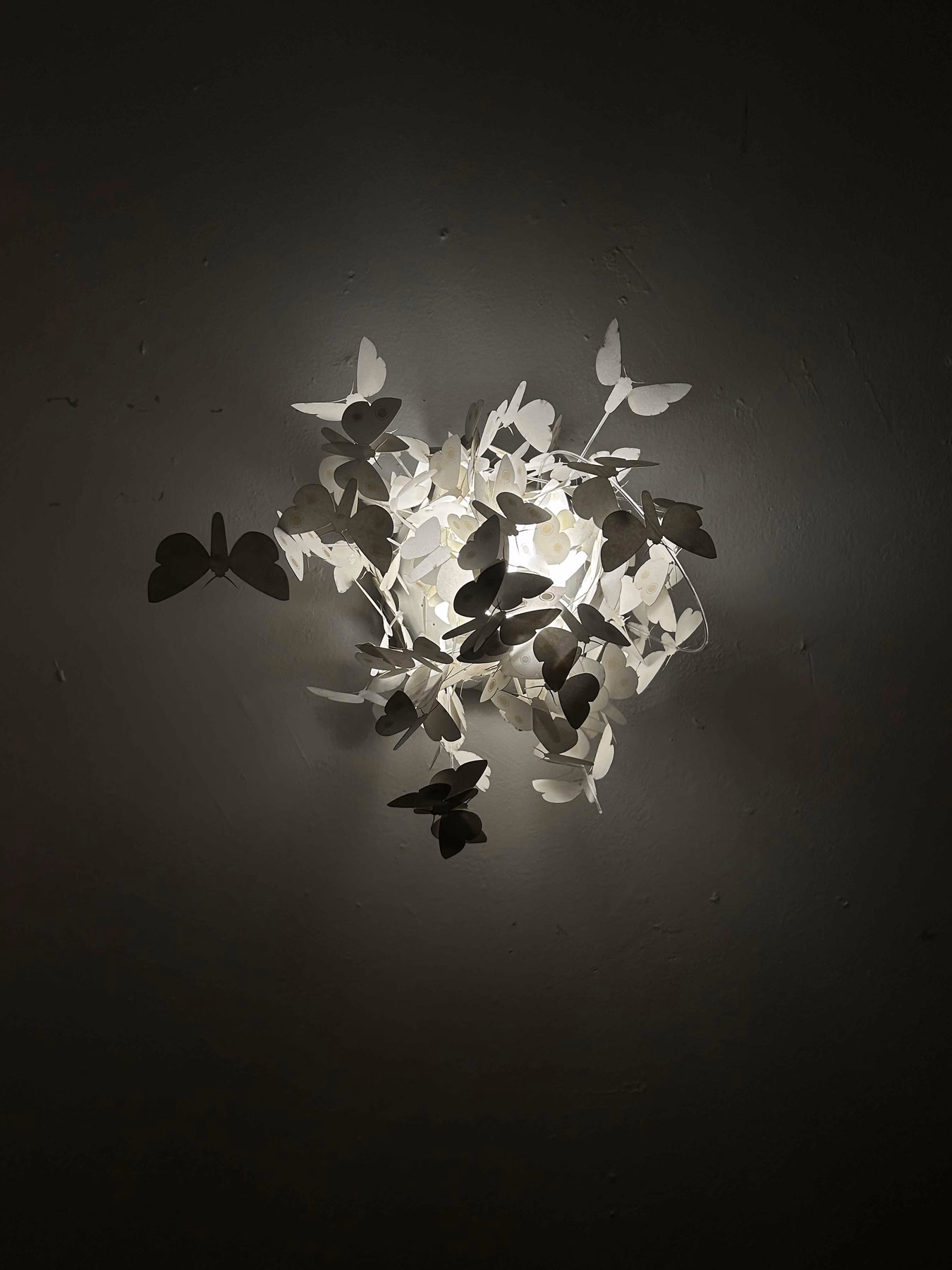Swarm