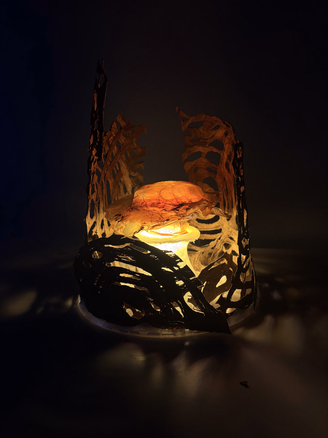 In Return - An adaptive reuse of amate paper and bacterial cellulose (SCOBY), exploring material cycles across time