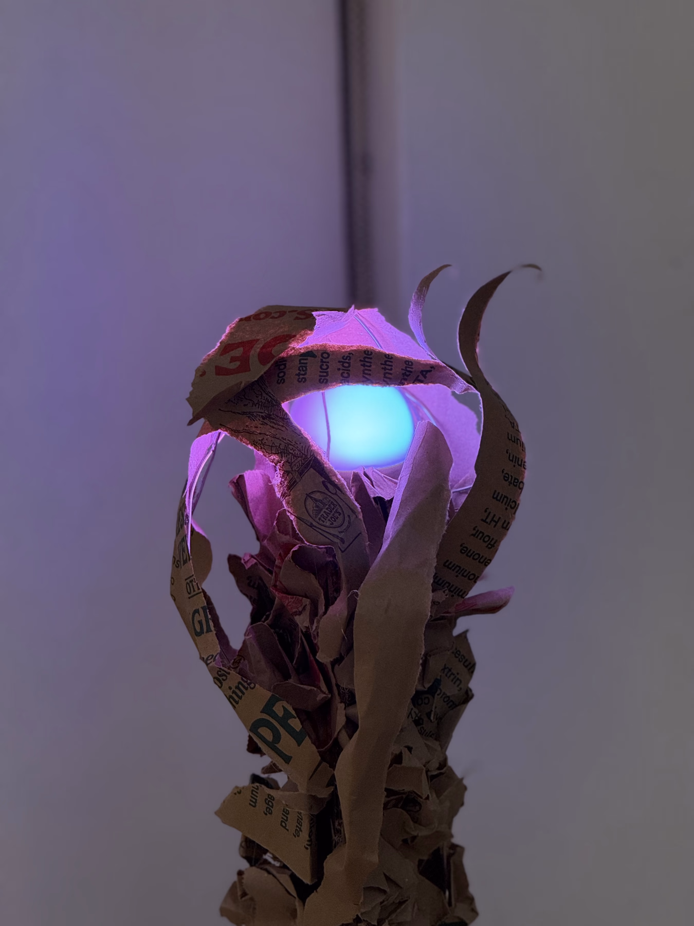 The Daily Glow Floor Lamp