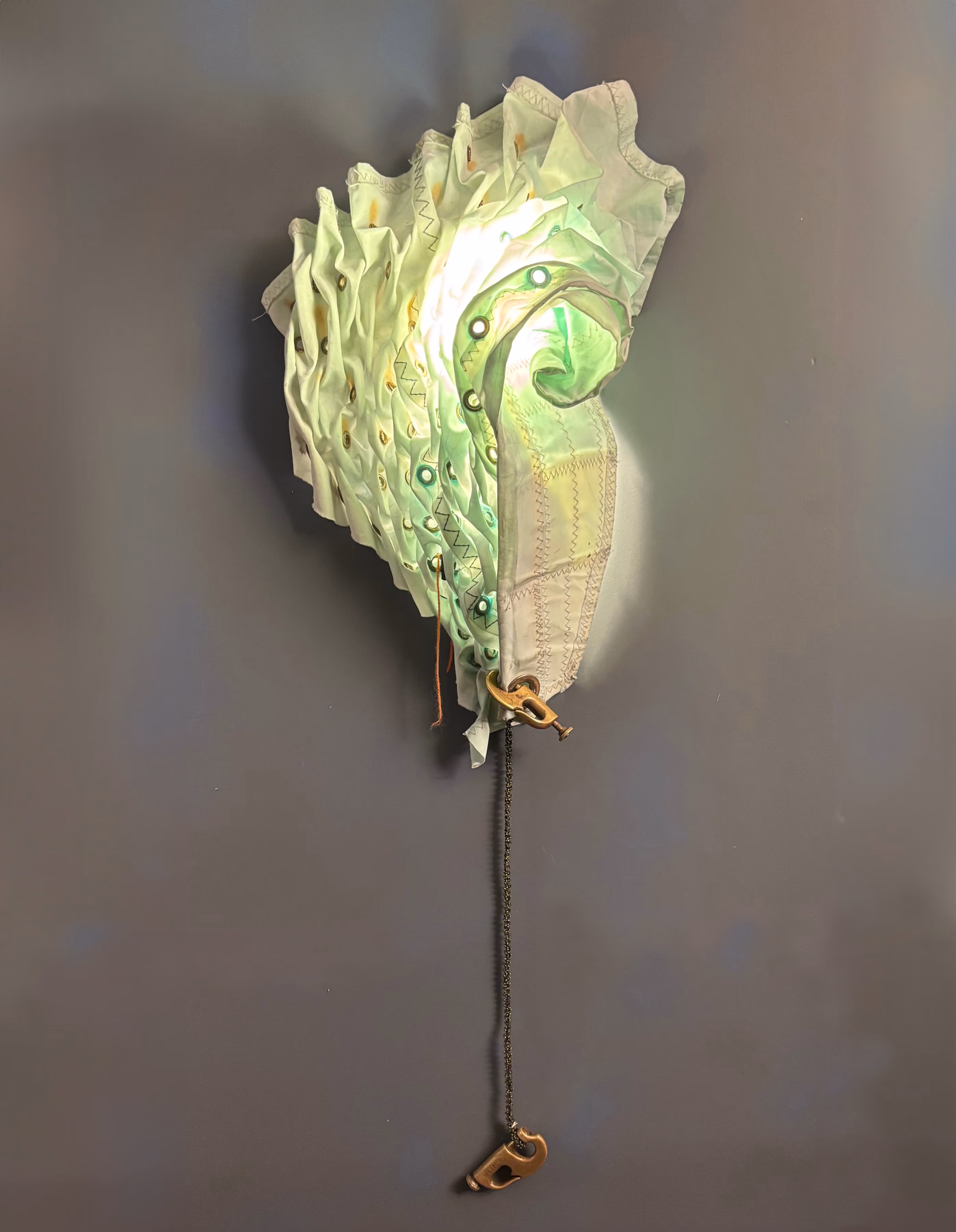 Nautilus