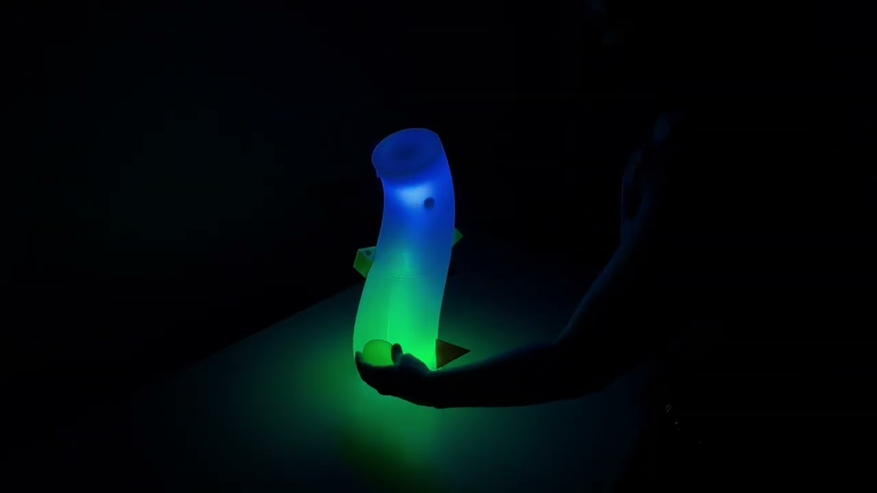 First Forms