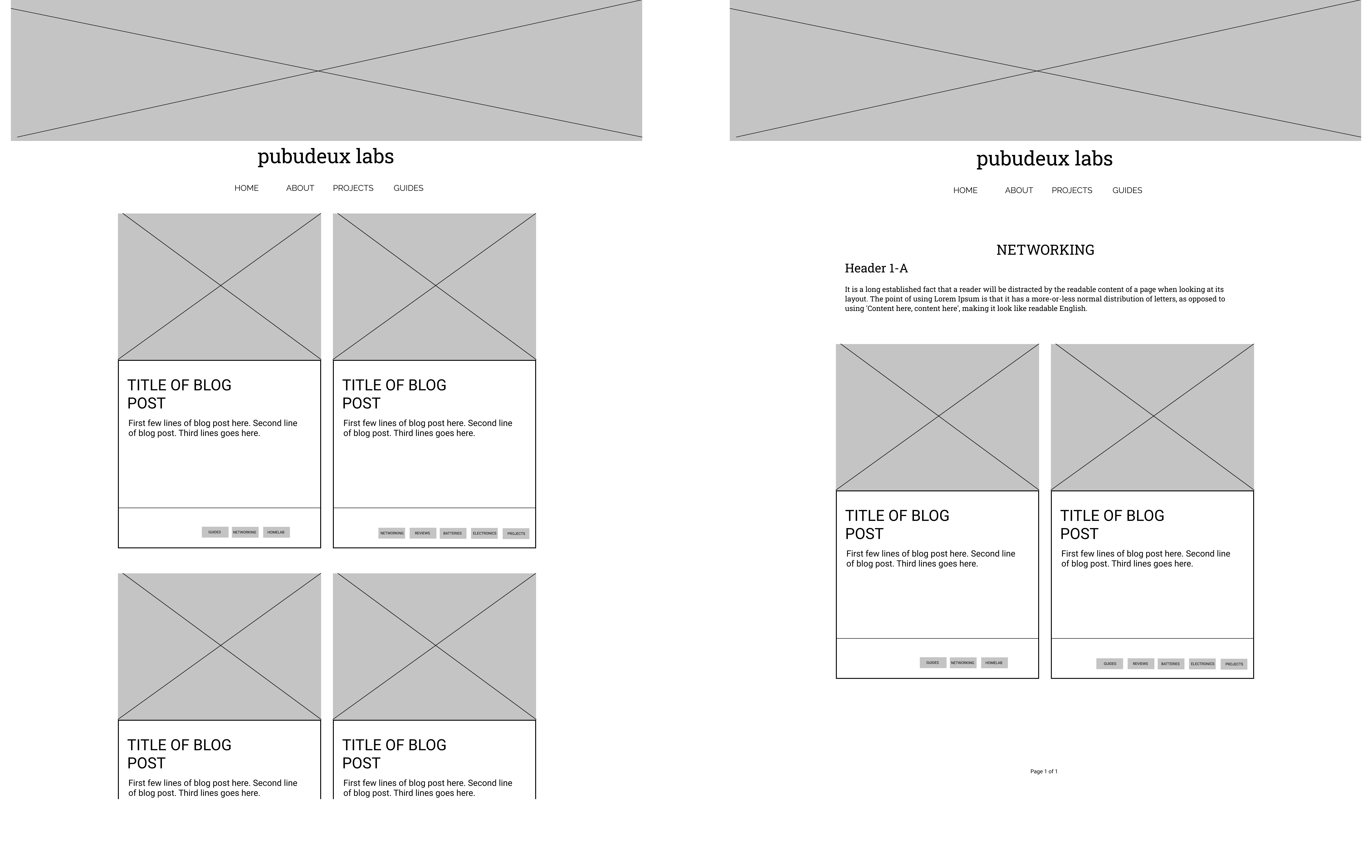 Image of digital wireframes. Home page left and category page right.