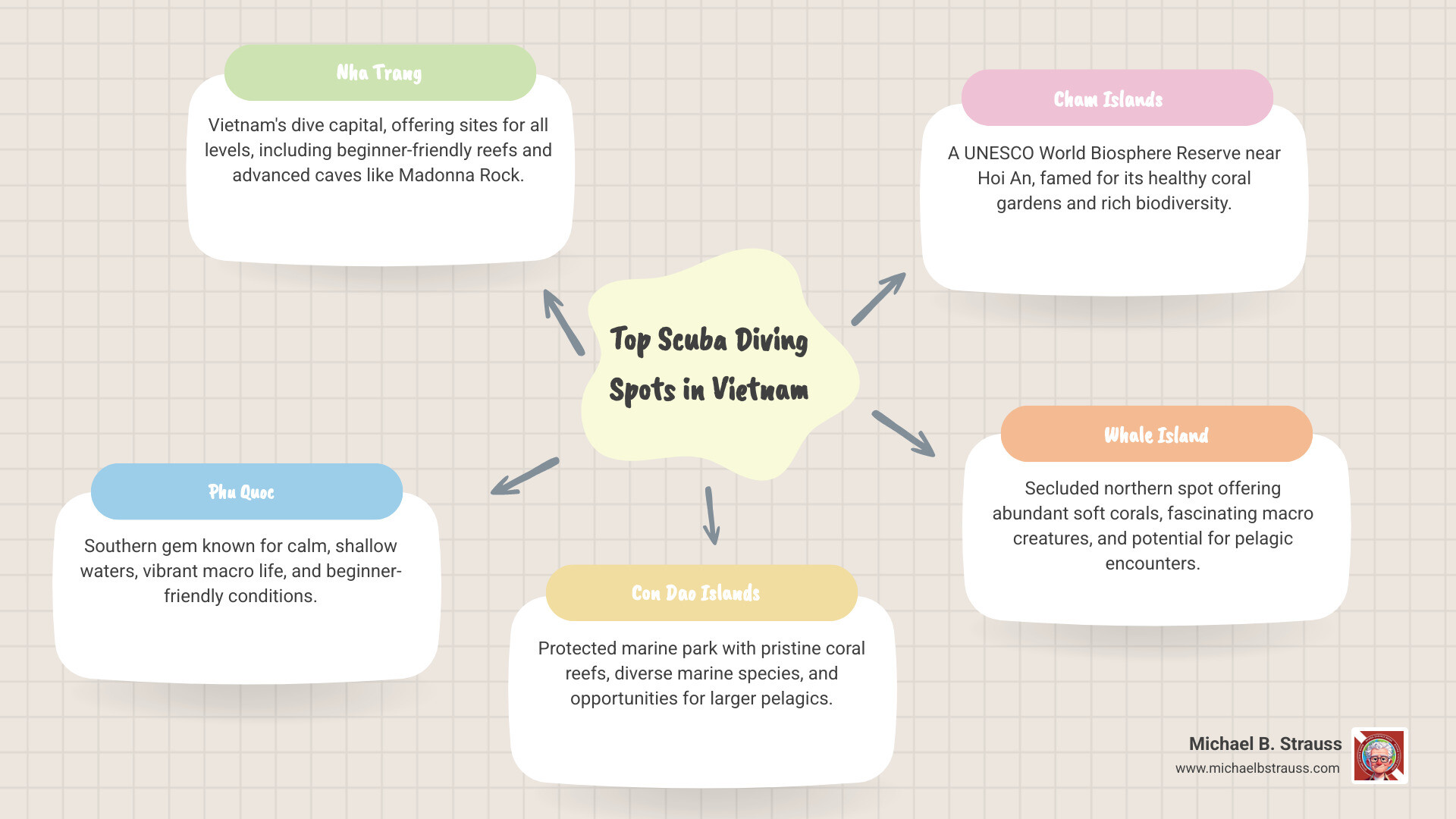 Infographic showing the key scuba diving regions in Vietnam, including Nha Trang, Phu Quoc, Con Dao, Cham Islands, and Whale Island, with their general locations - scuba diving Vietnam infographic mindmap-5-items