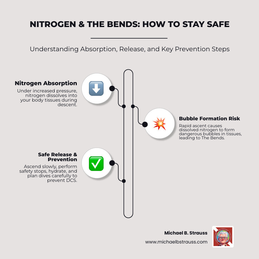 infographic showing nitrogen absorption during descent, saturation at depth, and safe elimination during controlled ascent with safety stops, plus key prevention steps including slow ascent rate, hydration, and pre-flight waiting periods - how to prevent bends infographic infographic-line-3-steps-elegant_beige infographic showing nitrogen absorption during descent, saturation at depth, and safe elimination during controlled ascent with safety stops, plus key prevention steps including slow ascent rate, hydration, and pre-flight waiting periods - how to prevent bends infographic infographic-line-3-steps-elegant_beige