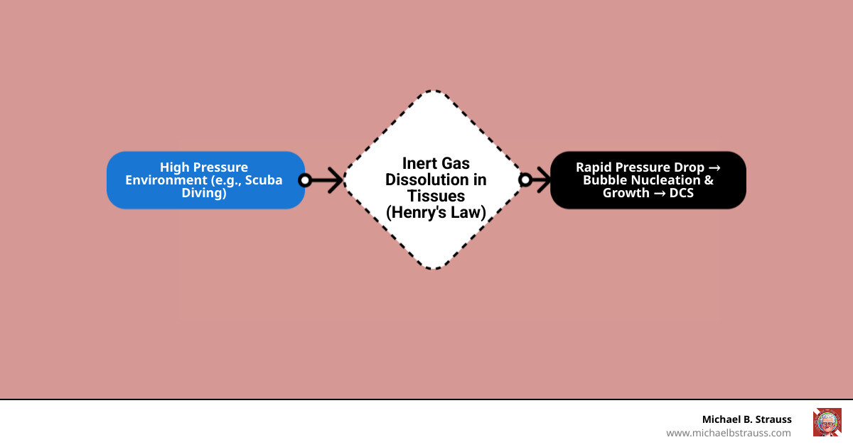 infographic showing nitrogen absorption during diving descent, saturation at depth, and bubble formation during rapid ascent with pressure measurements and tissue cross-sections - What causes DCS infographic flowmap_simple