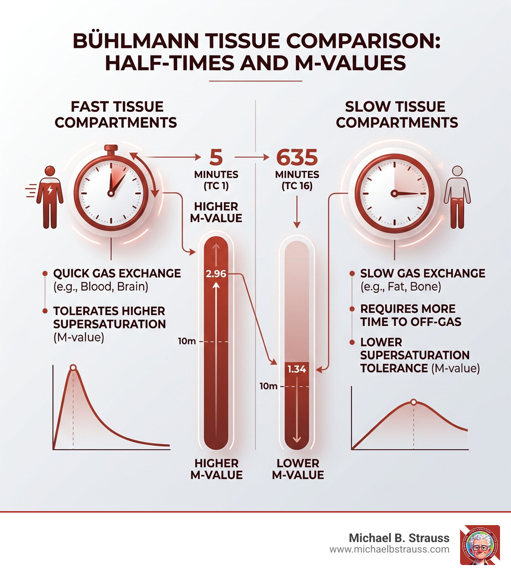 Comparison of tissue compartment half-times and M-values - Buhlmann GF implementation infographic 