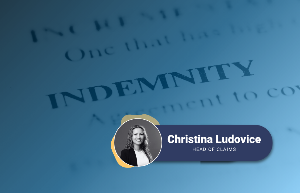 The Dangers of Broad Indemnity Clauses