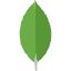 mongodb-recYrn2HBnAJLv07f.webp