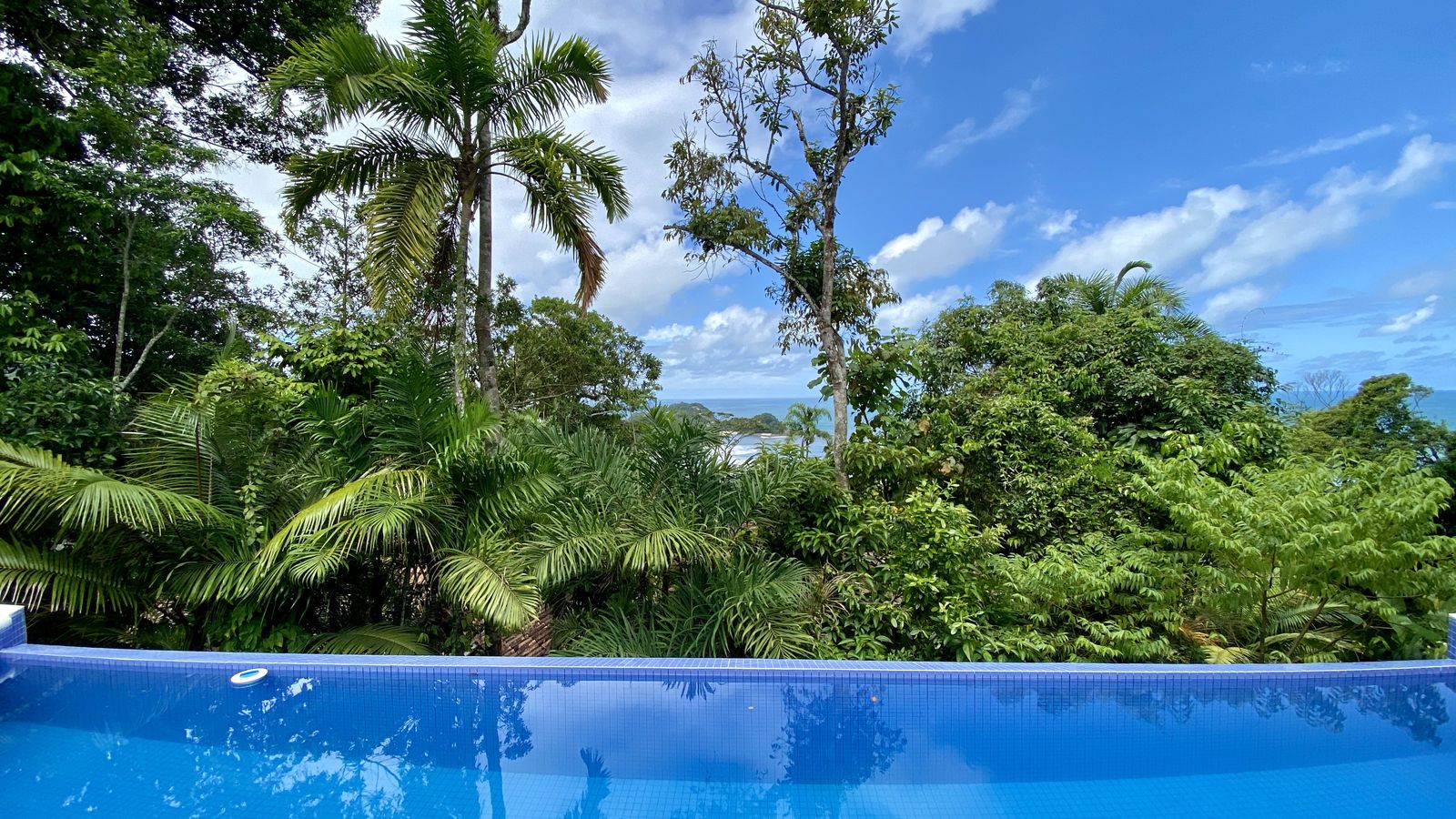 Fachada posterior com piscina e área coberta – Casa 788