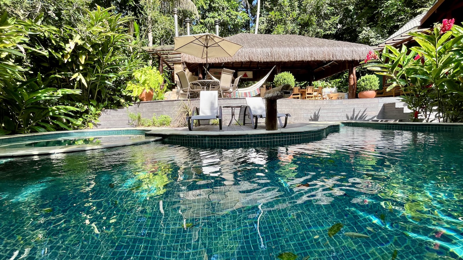 Piscina cercada por vegetação e espreguiçadeiras – Casa 824