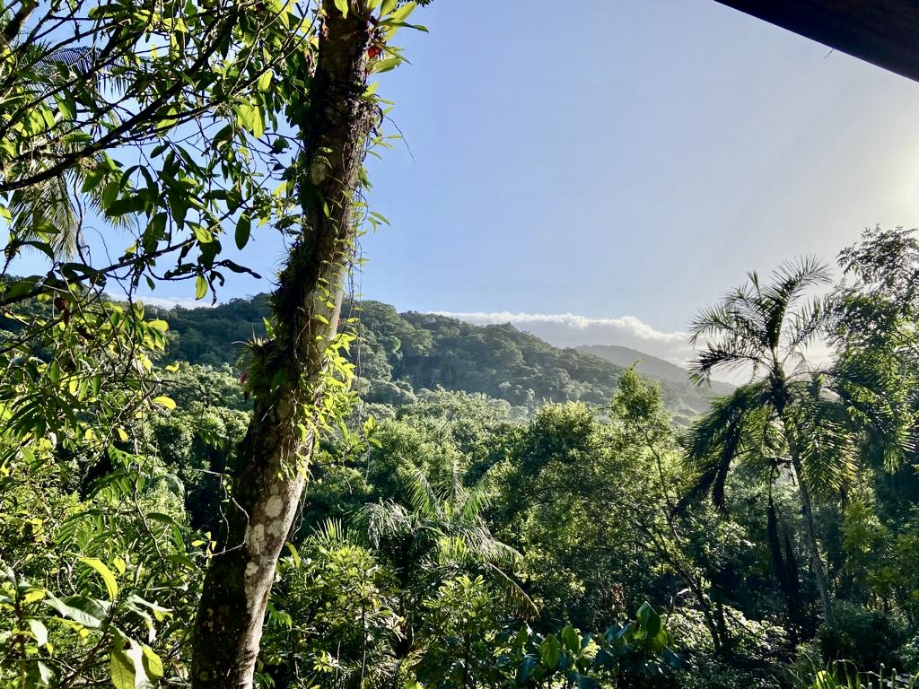 Casa aconchegante no meio da Mata Atlantica – foto 38