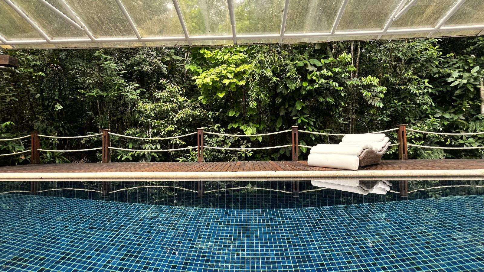 Piscina com vista para a mata