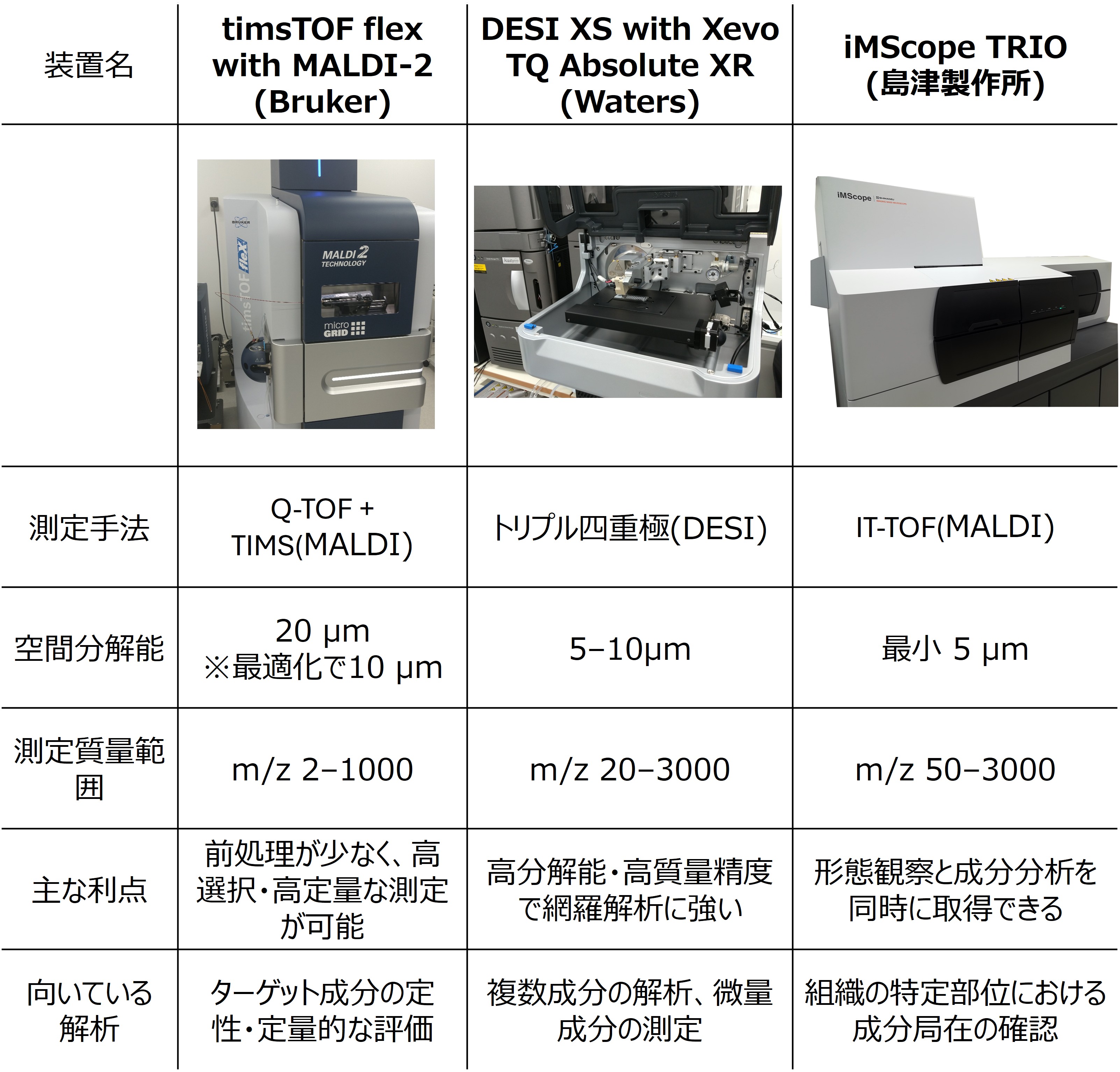 質量分析イメージング受託分析