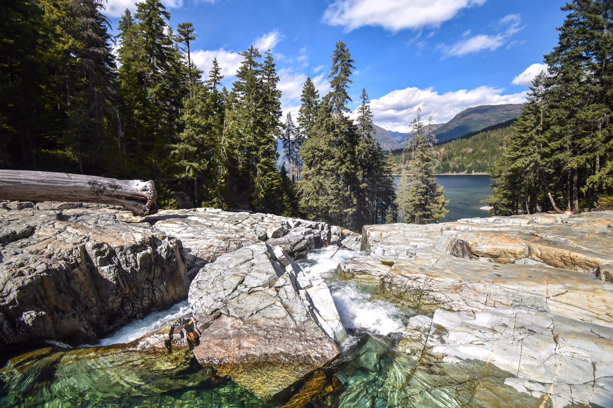 looking towards buttle lake from lower myra falls