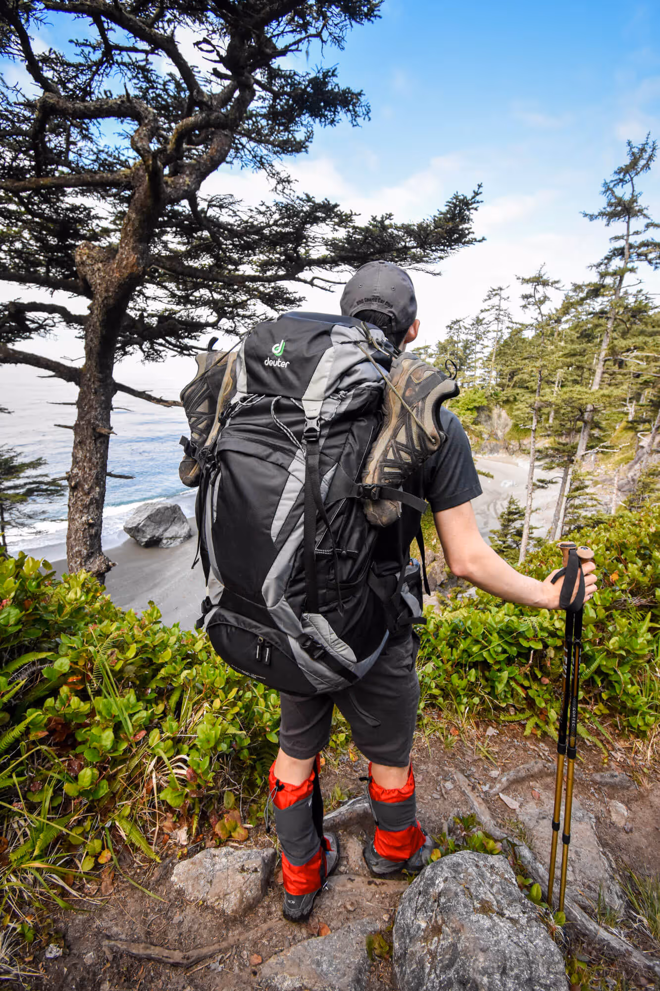 Chris overlooking the ocean from forested section of West Coast trail