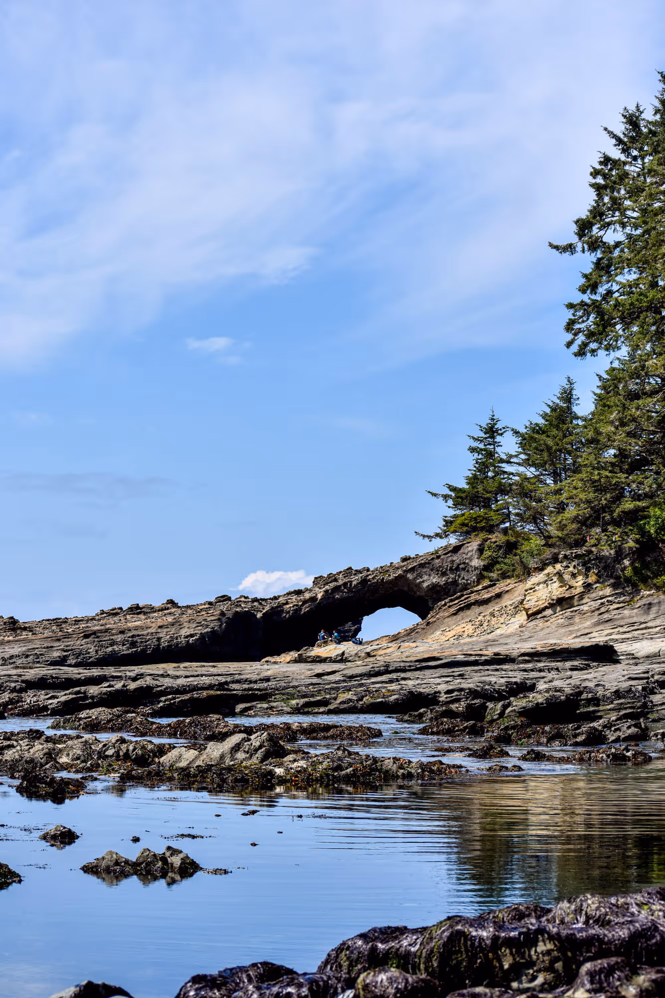 View north of the rock arch at tsusiat point