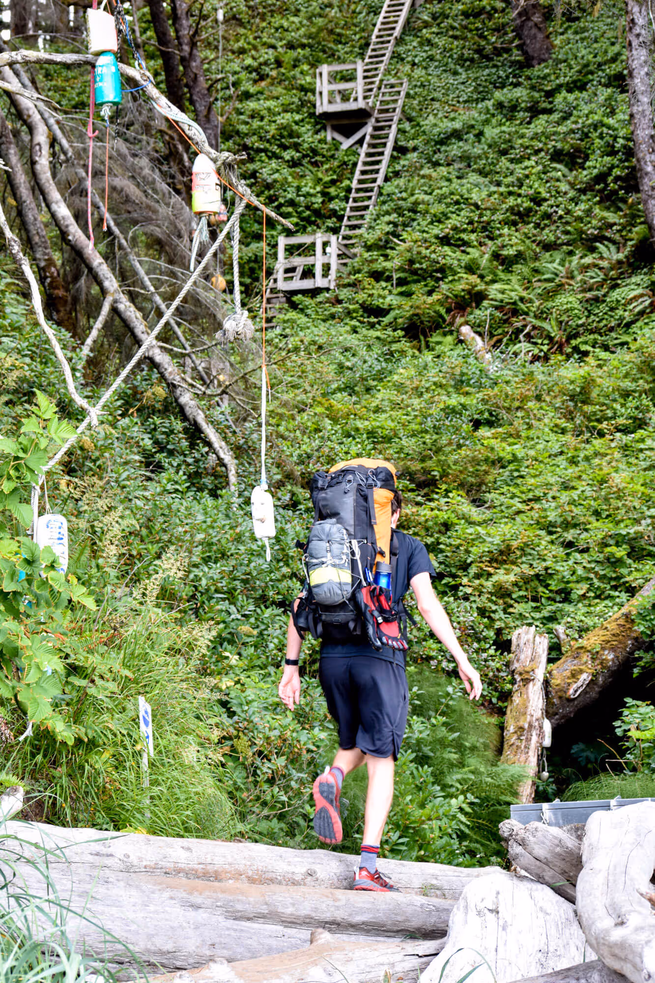 hiker on the west coast trail before sets of stairs