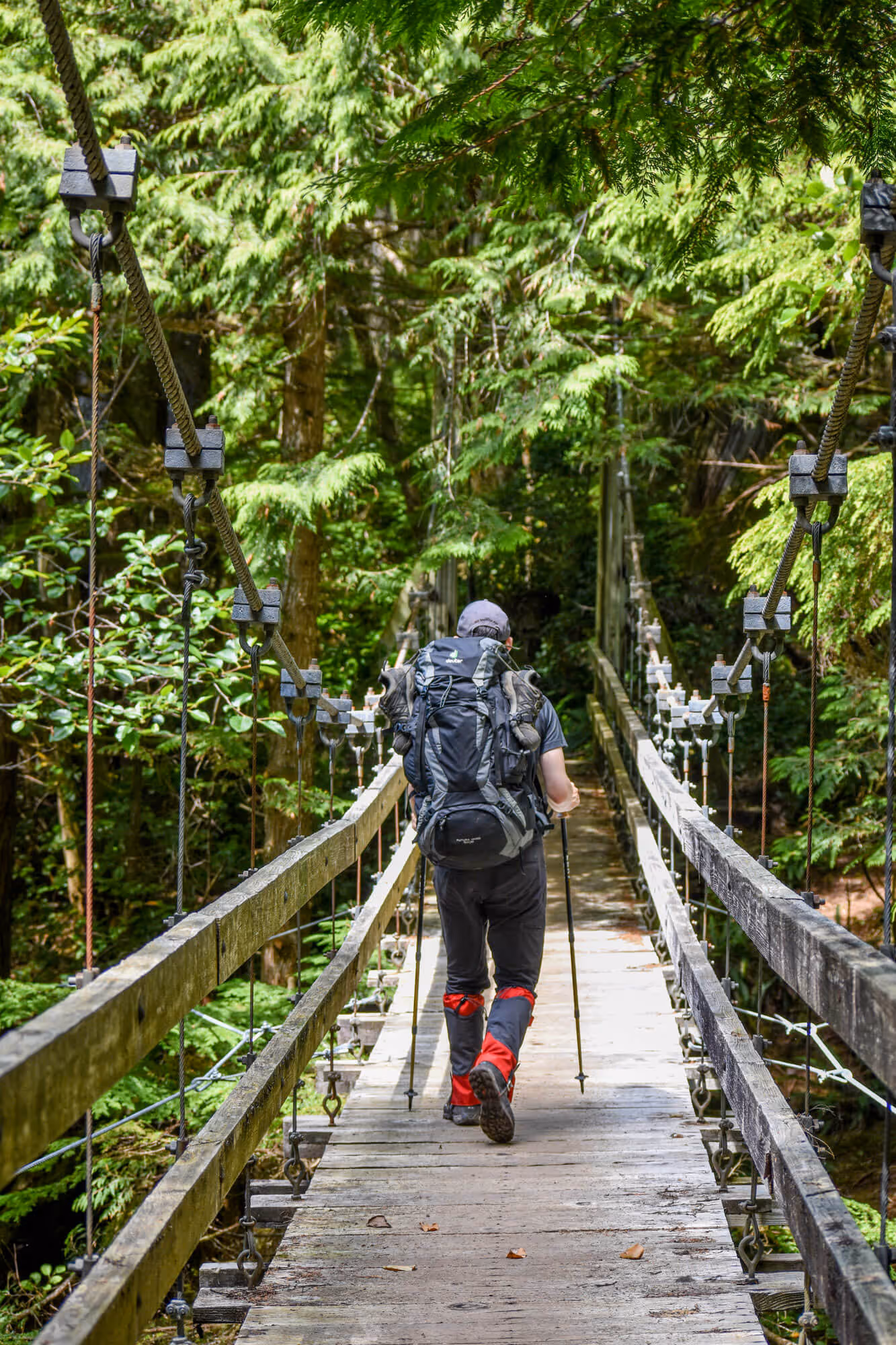 hiker walking on suspension bridge on the west coast trail